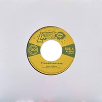 TRANSILVANIANS - AMAR A MARES (7inch)(Ska,RootsReggae)