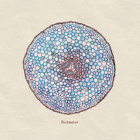 Nishiwaki - Perimeter (MIXCD) (Ambient,Experimental)