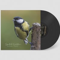 RAFAEL TORAL - SPECTRAL EVOLUTION (LP) (ambient drone)