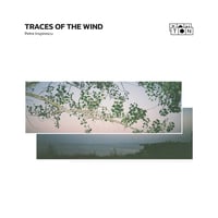 Petre Inspirescu - Traces of the wind (12inch×2)(Leftfield)