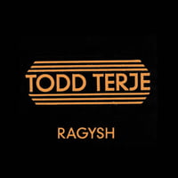Todd Terje - Ragysh (12inch)(House)