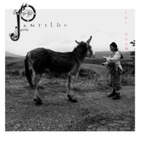 The Worm - Pantilde (LP)(Avant-Folk)