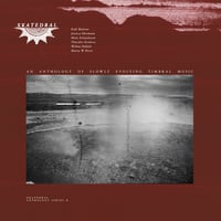 V.A - XKatedral Anthology Series II (2LP)(Experimental)