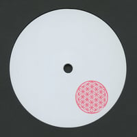 Skee Mask - Serum (12inch)(DubTechno,Dubstep)