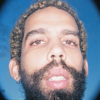 BRUNO BERLE / NO REINO DOS AFETOS (LP)(MPB,NeoBrazil)