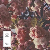 EL BUHO / CAMINO DE FLORES (LP)(DownTempo,Folktoronic)