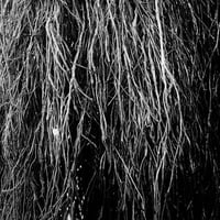 Merzbow, Iggor Cavalera, Eraldo Bernocchi - Nocturnal Rainforest (LP)(Noise)