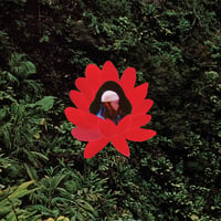 Lionmilk - When The Flowers Bloom (LP)(ElectroJazz)