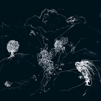 Anenon - Dream Temperature (LP)(AmbientJazz)