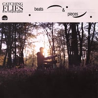 Catching Flies - Beats & Pieces (LP)(ChillWave,Downtempo)