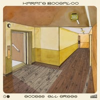 10/9発売　Karate Boogaloo - Access All Areas (LP Color)(CinematicSoul)