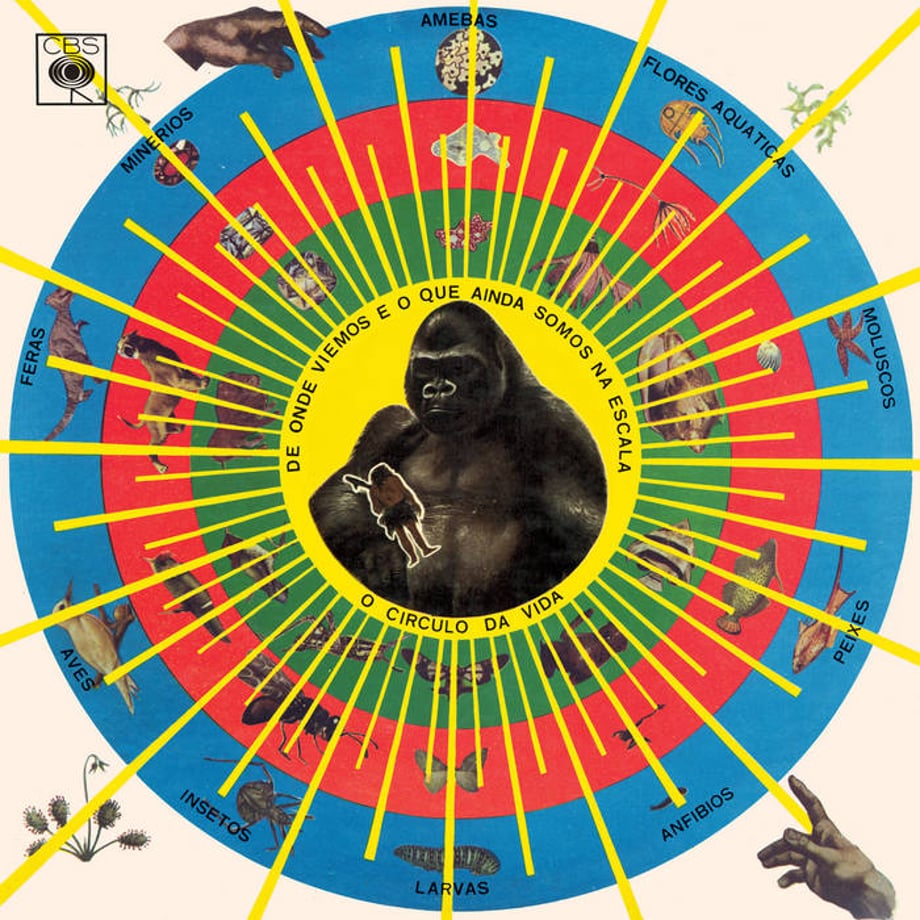 699803611f0e7e147ab435ea