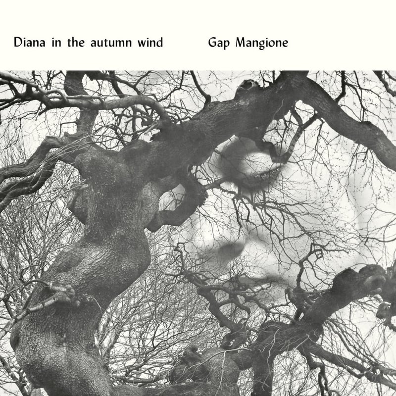 Diana in the autumn wind 激レア Gap Mangione - Diana In The Autumn Wind (LP)(So