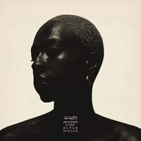 anaiis - Devotion & The Black Divine (LP)(R&B,Experimental)