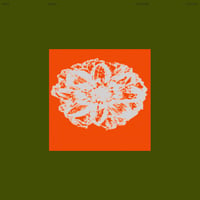 Nboj Tespo - Blessed Planet (LP)(Experimental,IDM)