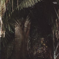 Acid Pauli - Urwald (12inch)(Techno)