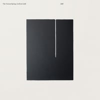 The Vernon Spring & Gwilym Gold - Still (LP)(PianoAmbient)