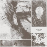 Park Jiha - All Living Things (LP)(Experimental,World)