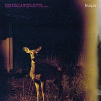 Lake Mary & Daniel Wyche - Deer's Breathe In Every Color (LP)(Ambient)