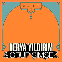 DERYA YILDIRIM & GRUP SIMSEK / DOST 2 (LP)
