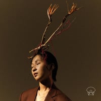 ANTONIO LOUREIRO / Só / ソー (完全限定生産LP) | slow room