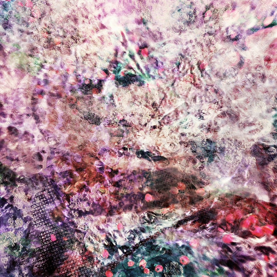 6a9a572ebe2d12126c21e008