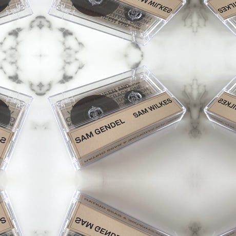 Sam Gendel , Sam Wilkes / Music For Saxofone & Bass Guitar(CASSETTE) (AmbientJazz)