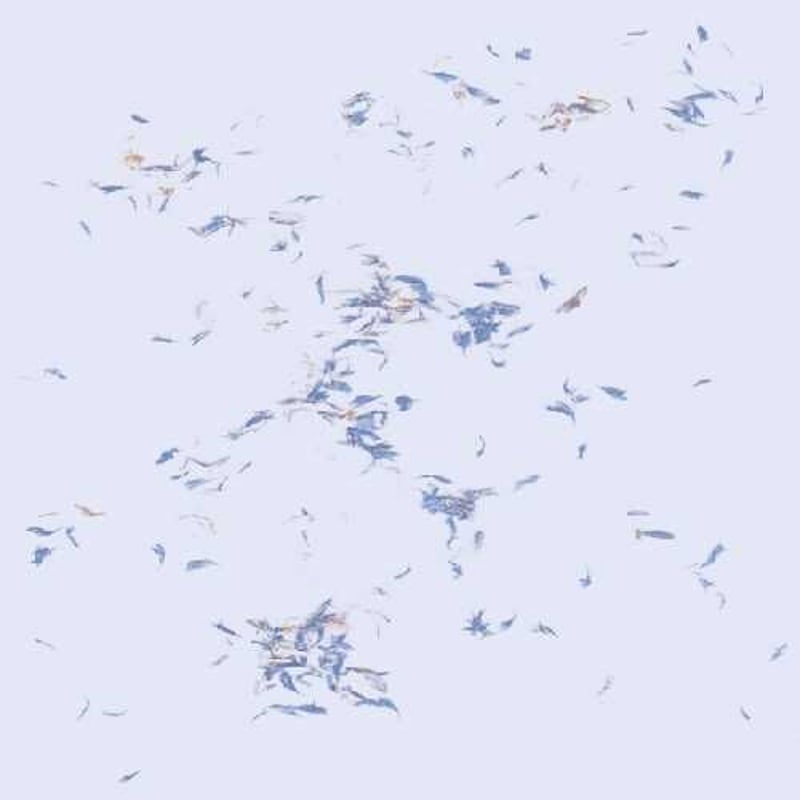 クラブ+ダンス ulla - Tumbling Towards A Wall LP Ulla – Tumbling Towards A Wall – Vinyl (LP, Album, Limited