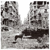 VOX LOW / KEEP ON FALLING (LP)