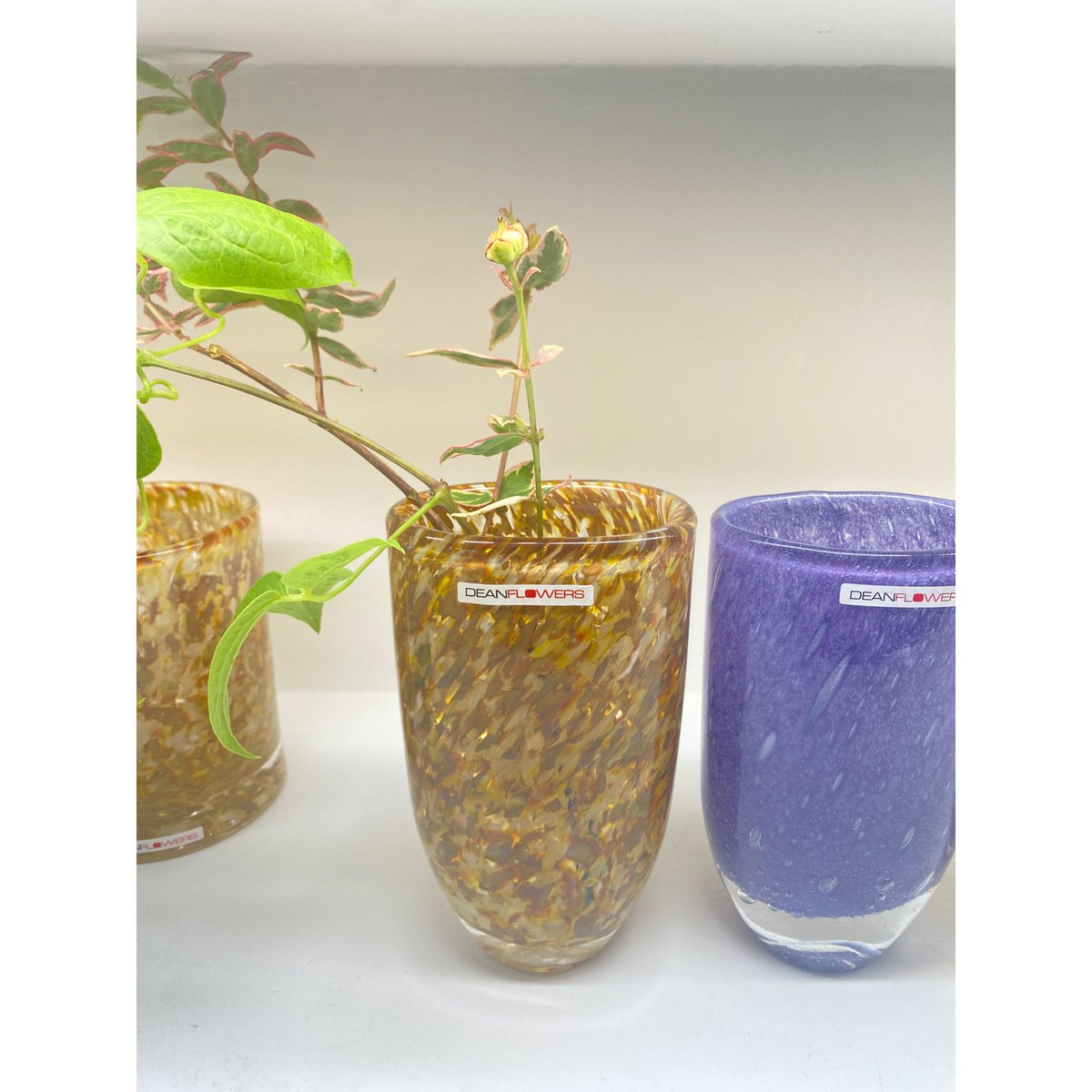 Henry Dean『Joe ジョー』のフェンブーチ | Four Seasons Flower