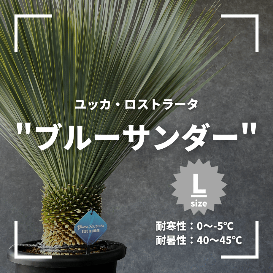 648e57d1edfc4e0075178290