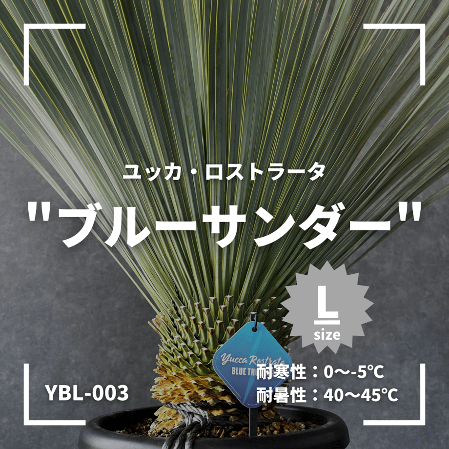 648e5829edfc4e007b1768a7