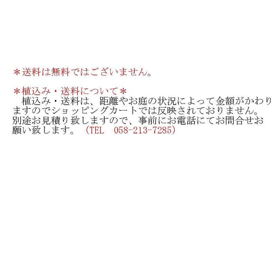 5a8d1603f22a5b6357000f84