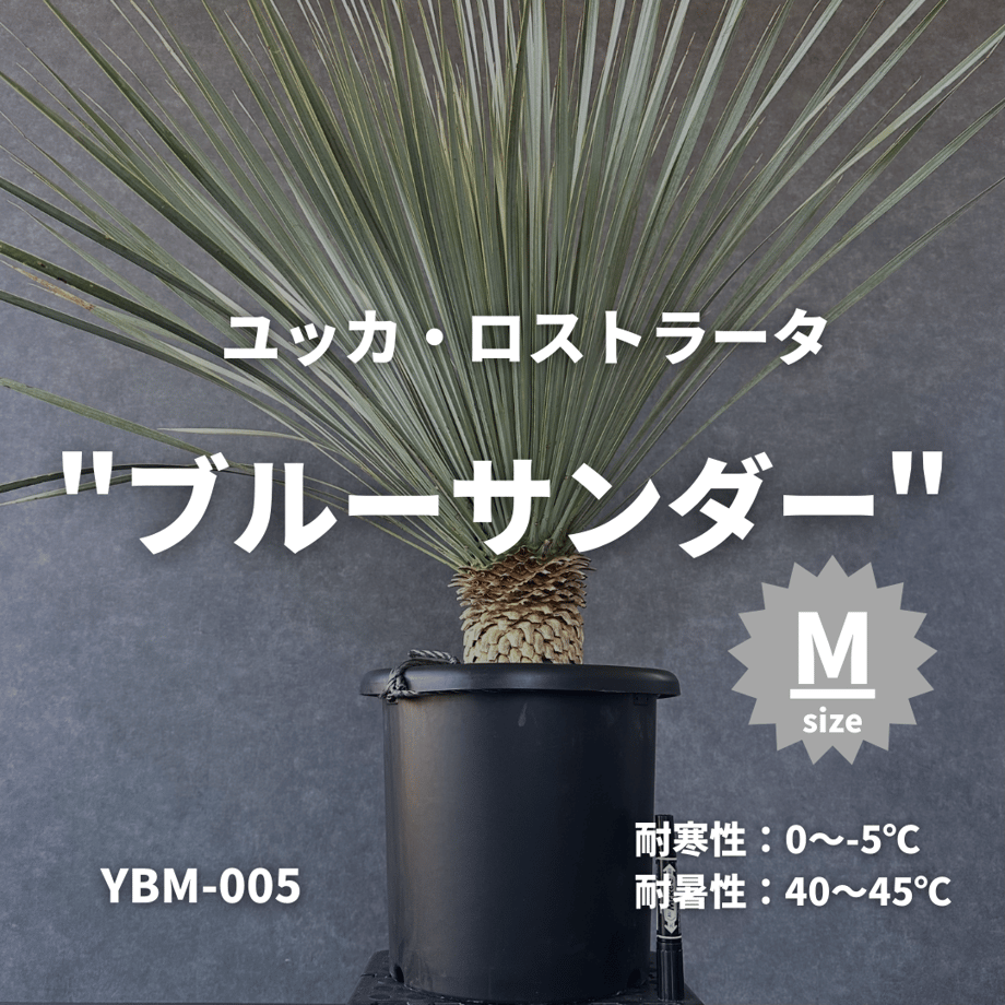 651290f569f94d0033c9efd5