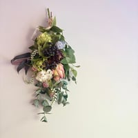 プロテア swag | FLORALIA