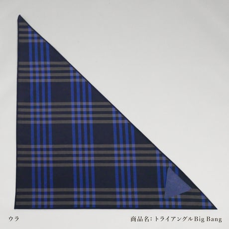 アイウエアが拭けるハンカチ　　　　　　　　　　　　　　　　check - 三角