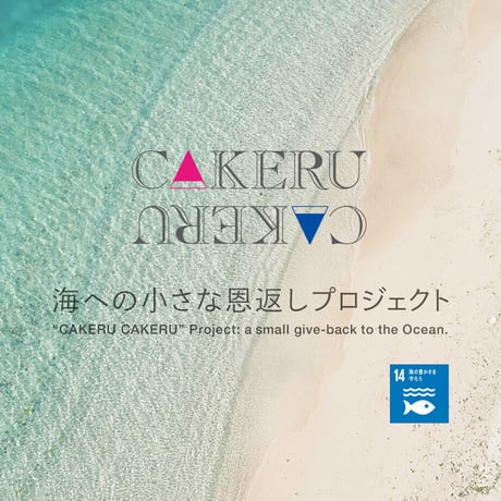ireru - paper（メガネ&マルチケース）