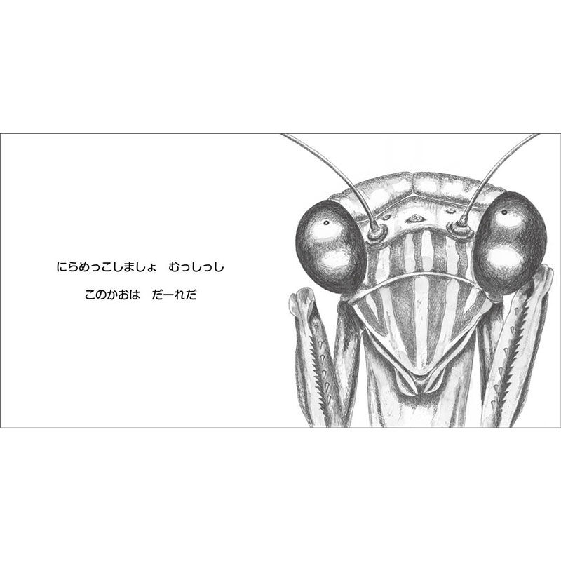 にらめっこしましょ むっしっし つよい むしたち | 金木犀舎