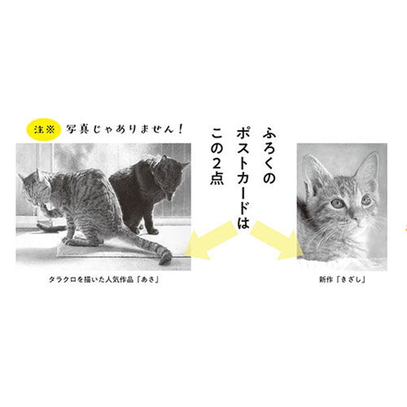 タラクロ・保護猫・地域猫〜西方由美えんぴつ画集 | 金木犀舎