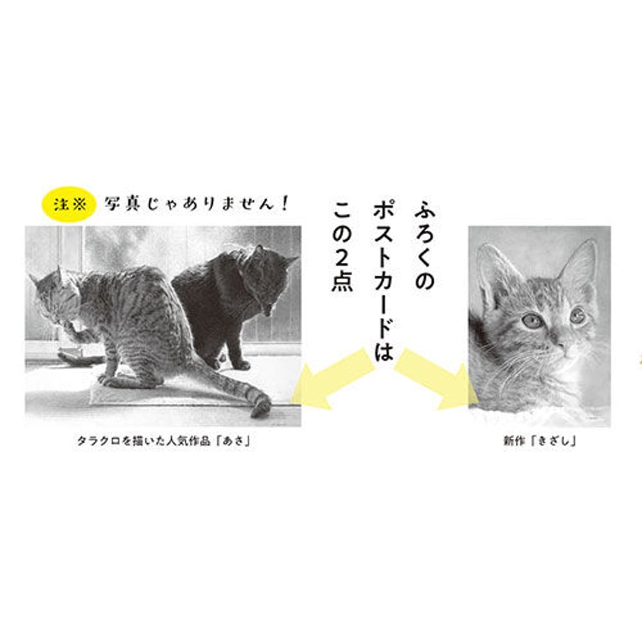 5f7449b43ae0f4452f9073ce
