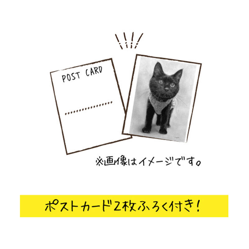 箱入り猫 鉛筆画 タラクロ・保護猫・地域猫〜西方由美えんぴつ画集 | 金木犀舎