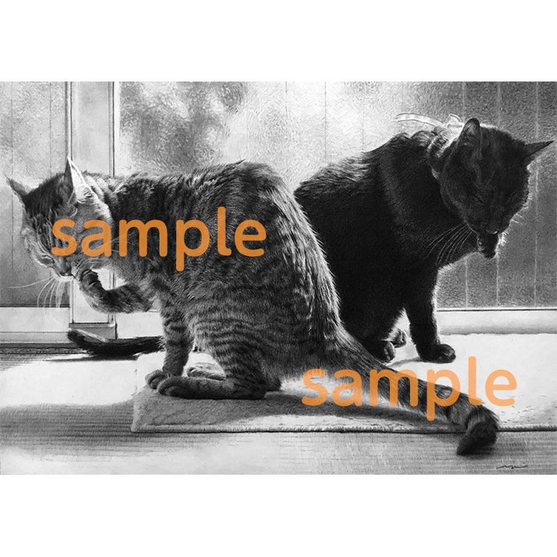 箱入り猫 鉛筆画 これが鉛筆で描かれた猫だなんて…衝撃の作品に「モノクロ写真