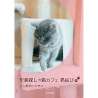 里親探しの猫カフェ 猫結び　人も動物も幸せに