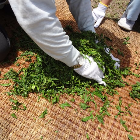食べるお茶～熊野釜炒り粉茶　新茶