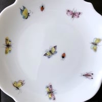 簡易カラーコピー 虫