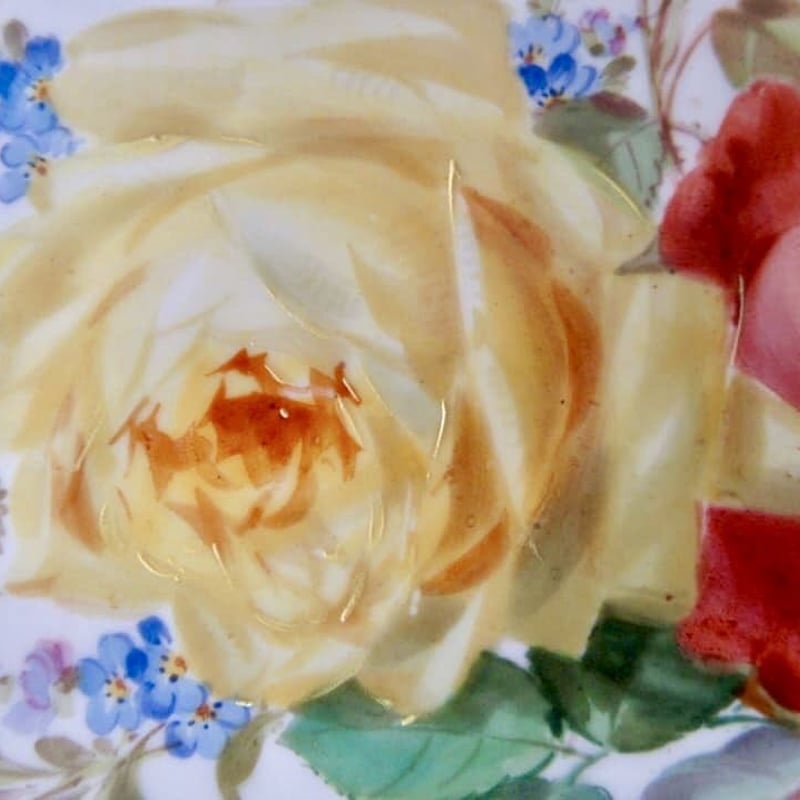 マイセンアンティーク 自然主義風ローズ | Meissen's rose & white po