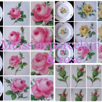 （再販）マイセンの薔薇写真集22枚セット　限定30