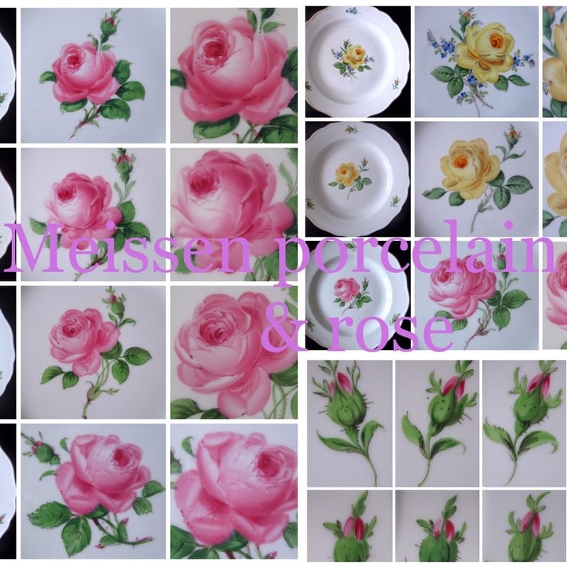 再販）マイセンの薔薇写真集22枚セット 限定30 | Meissen's rose & wh...