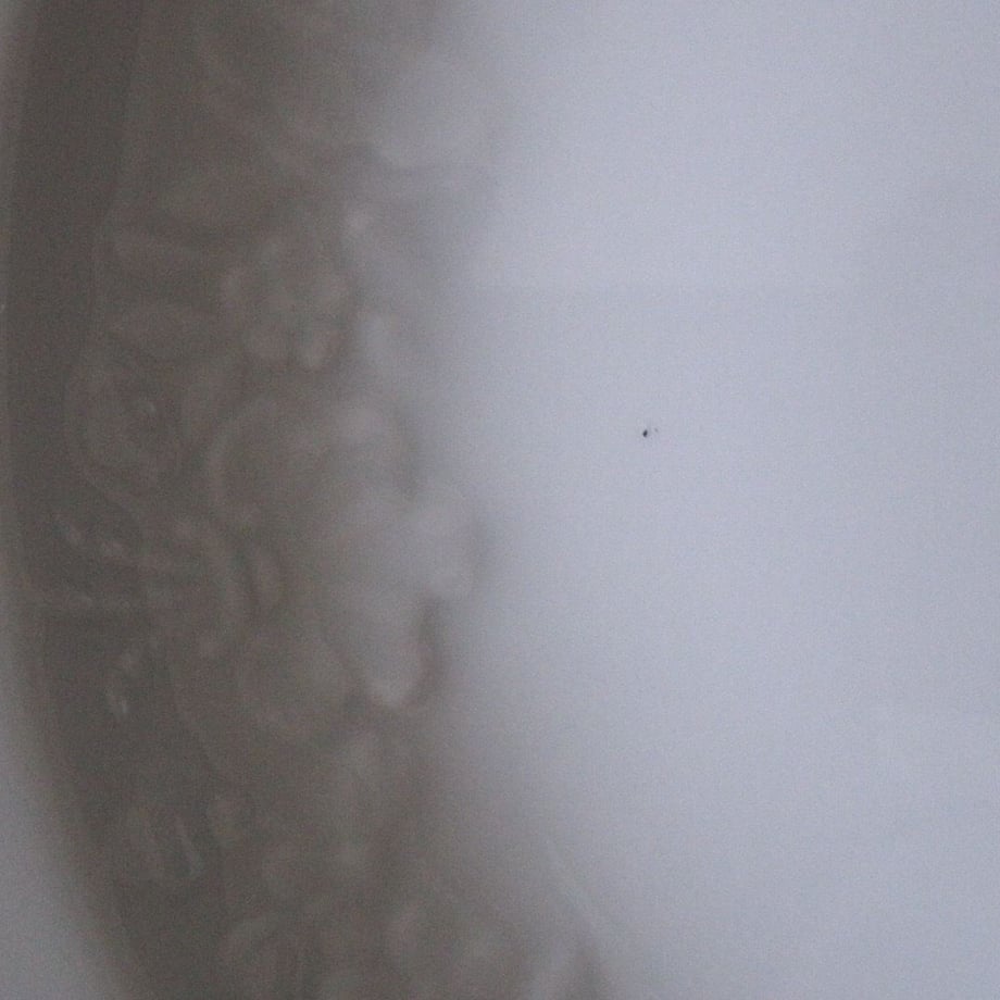 5972d559b1b6192520006ae5