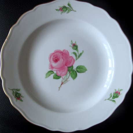 CATEGORY マイセンローズ | Meissen's rose & white porce